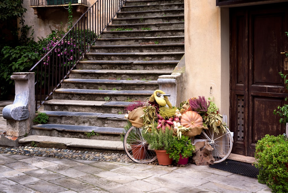 green leafed plants beside concrete stairs