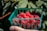 A farmer in Pará proudly holding a basket of freshly harvested açaí berries in a lush Amazonian setting.