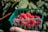 A close-up of a hand holding a basket filled with assorted fresh fruits and vegetables.
