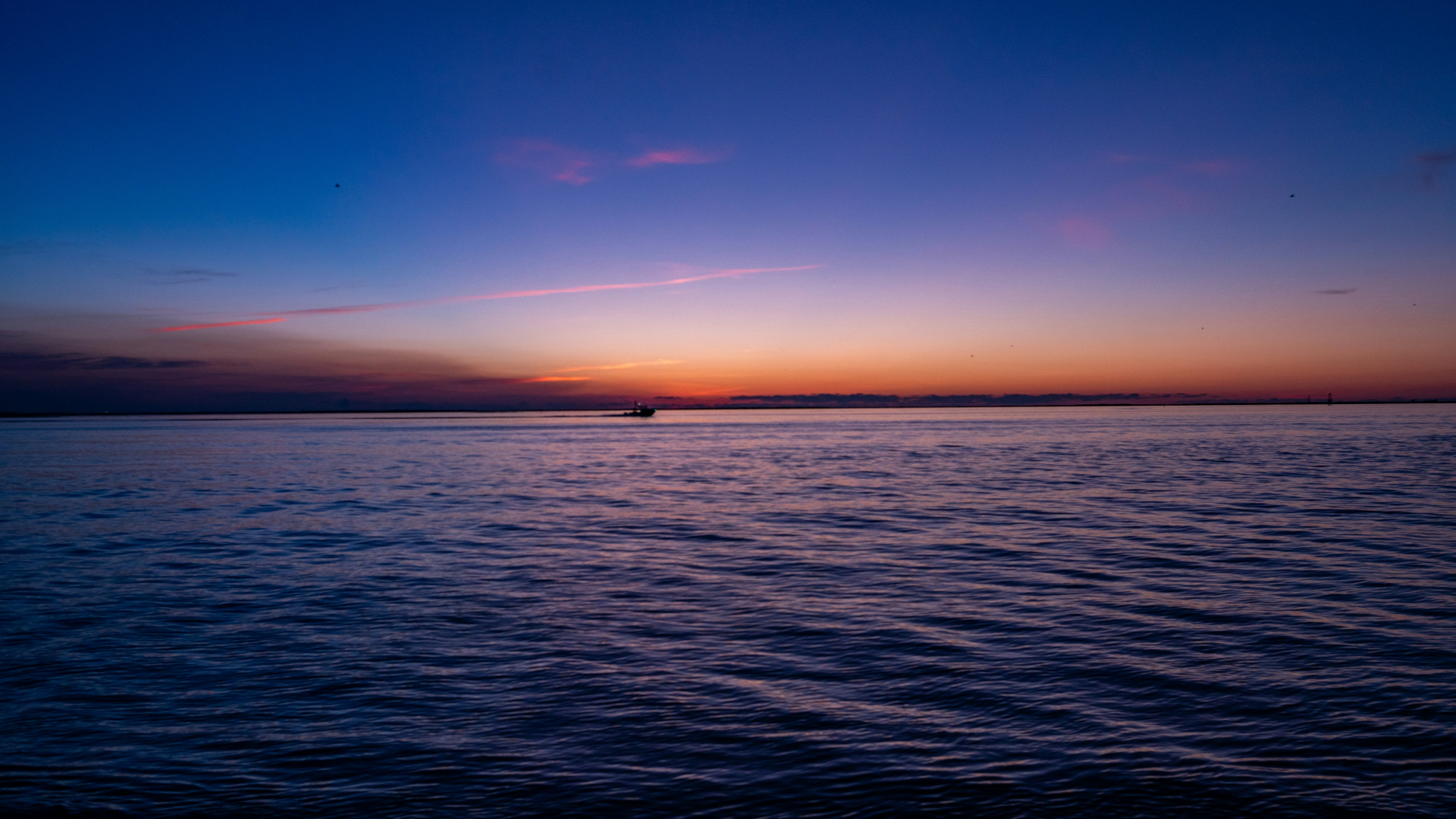 Photo by bunnyslayer