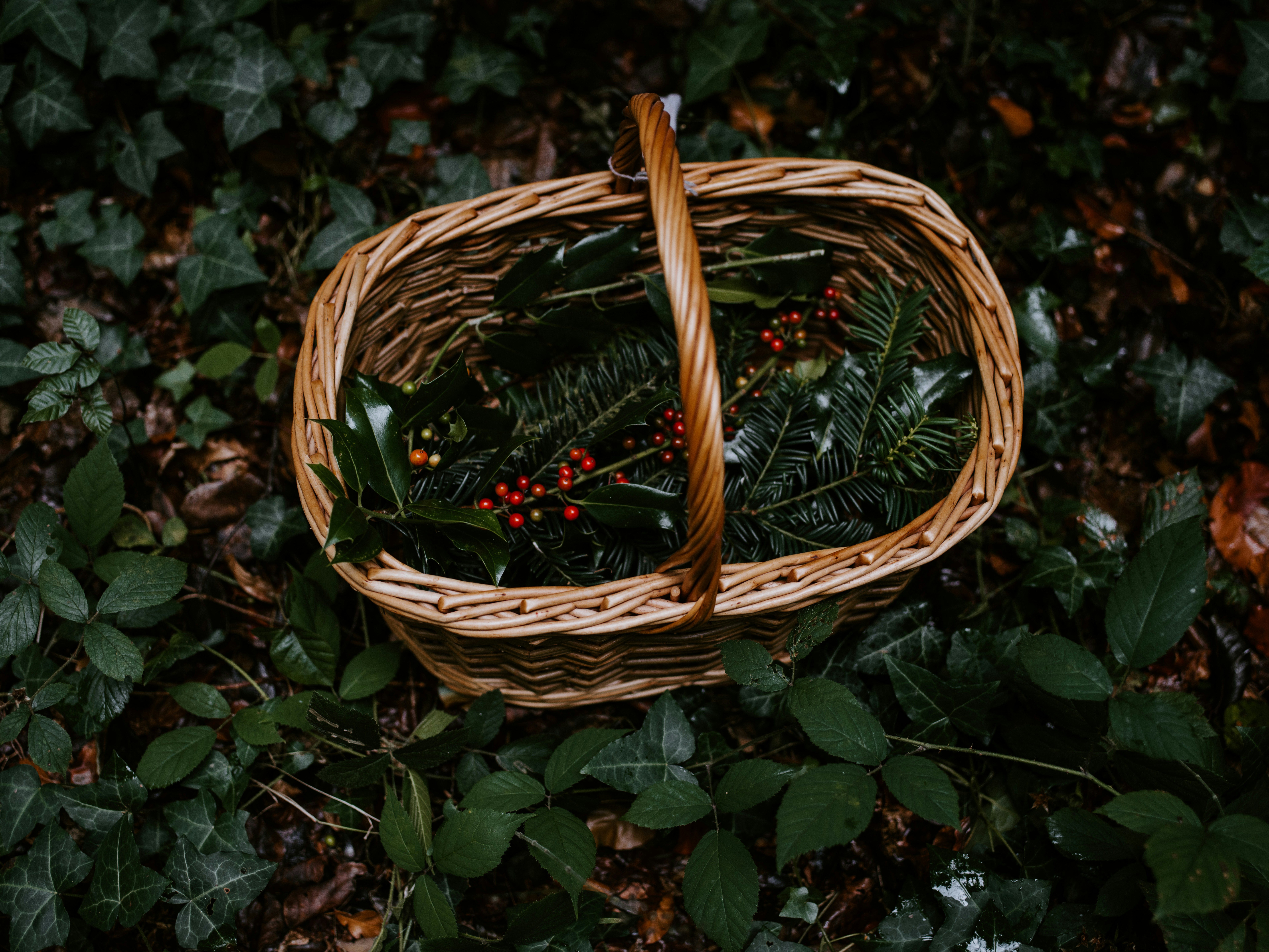 Appeal to Consequences: When Outcomes Don't Determine Truth