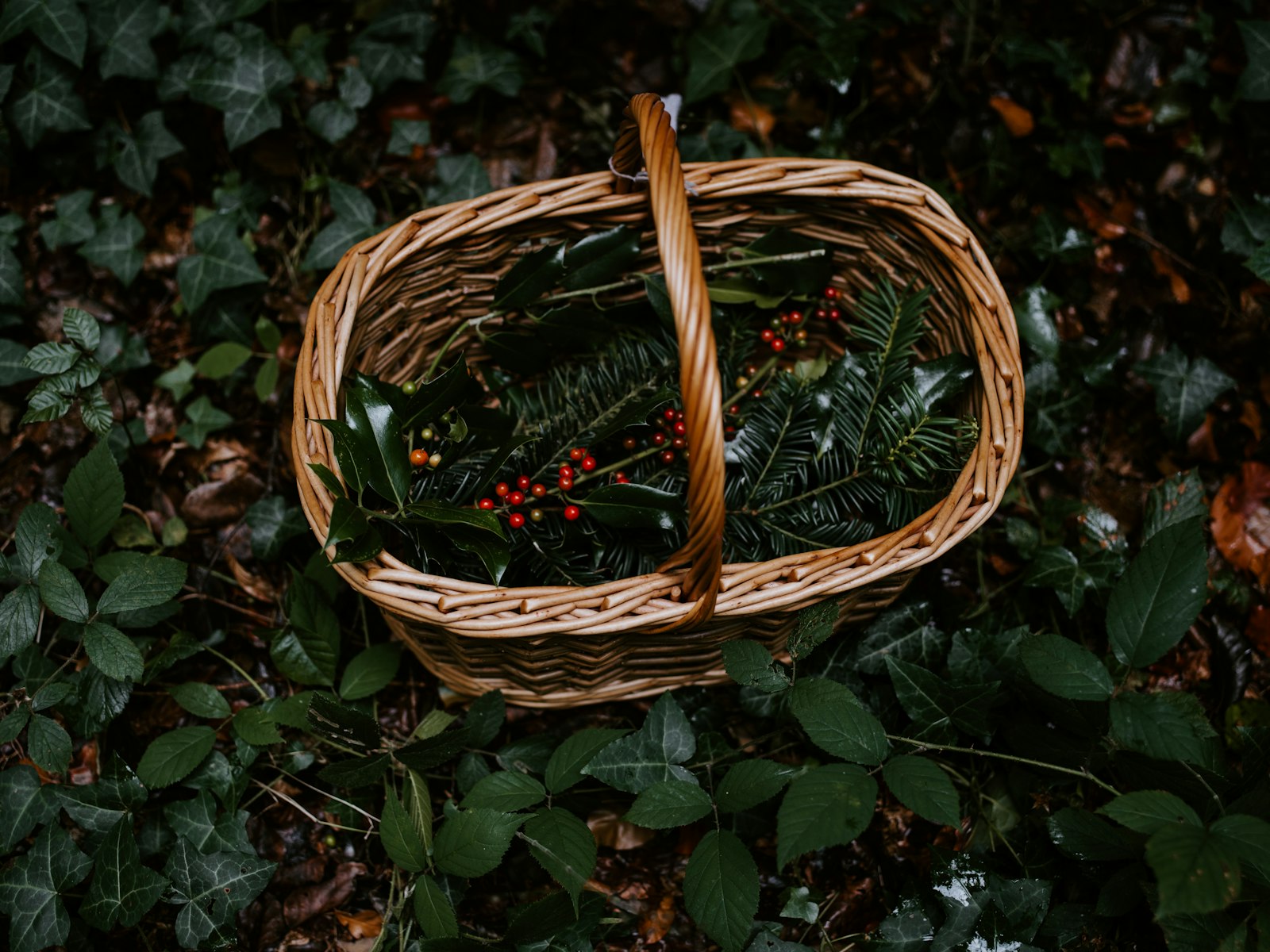 Pentax smc D FA 645 55mm F2.8 AL (IF) SDM AW sample photo. Brown wicker basket photography