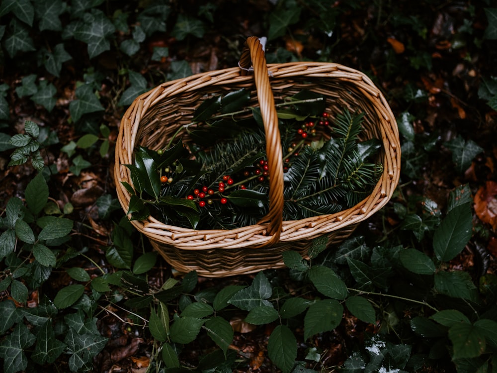 brown wicker basket