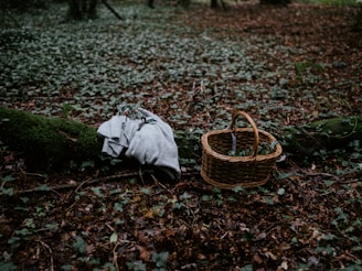 A sleek, lightweight folding metal bed set up outdoors with a cozy blanket and pillow, surrounded by nature.