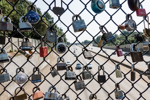 A chain-link fence is covered with various padlocks, including combination locks and solid metal locks, hanging in front of a highway with several cars driving by. The background includes trees and a concrete barrier.
