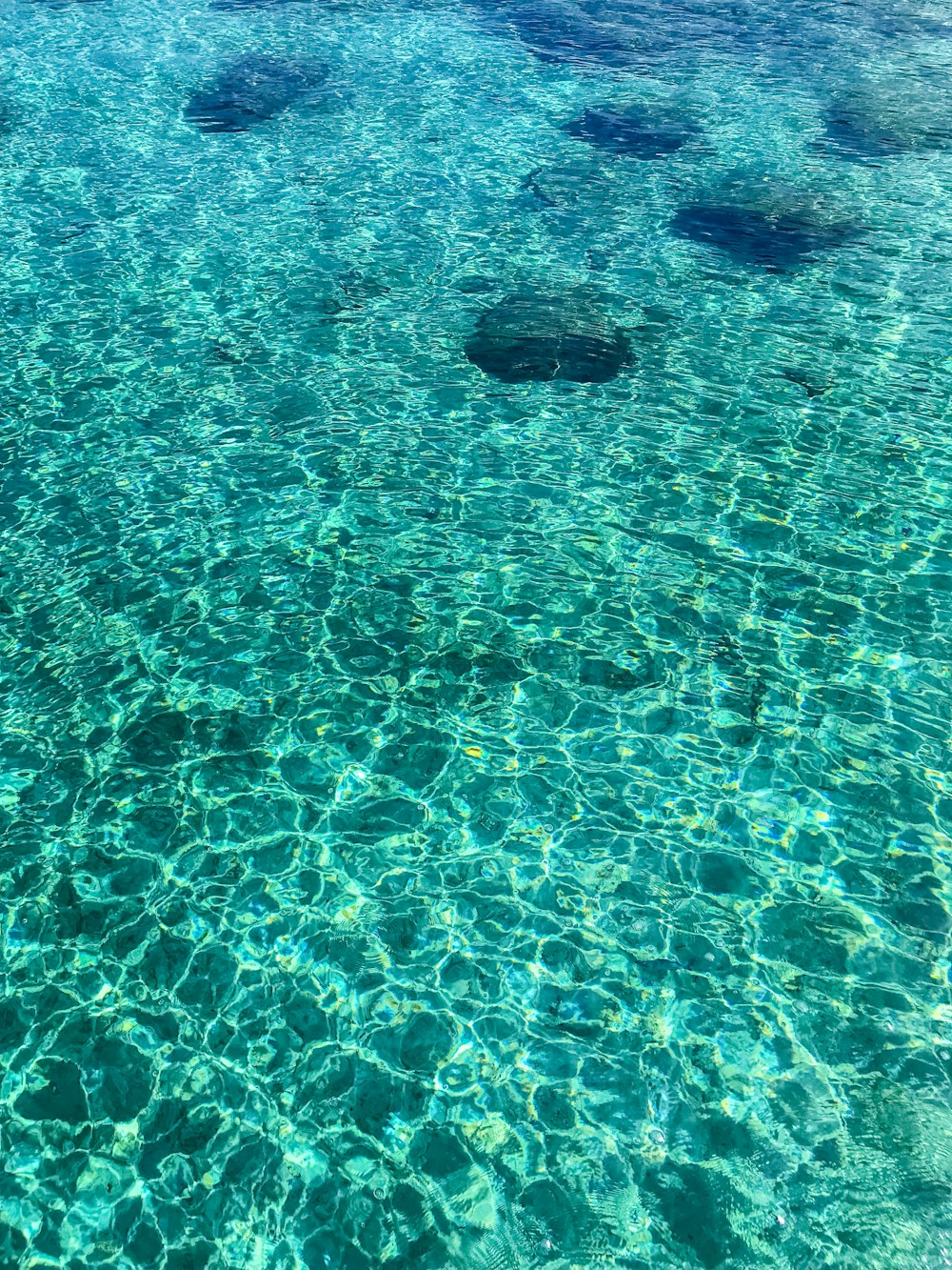 clear blue sea