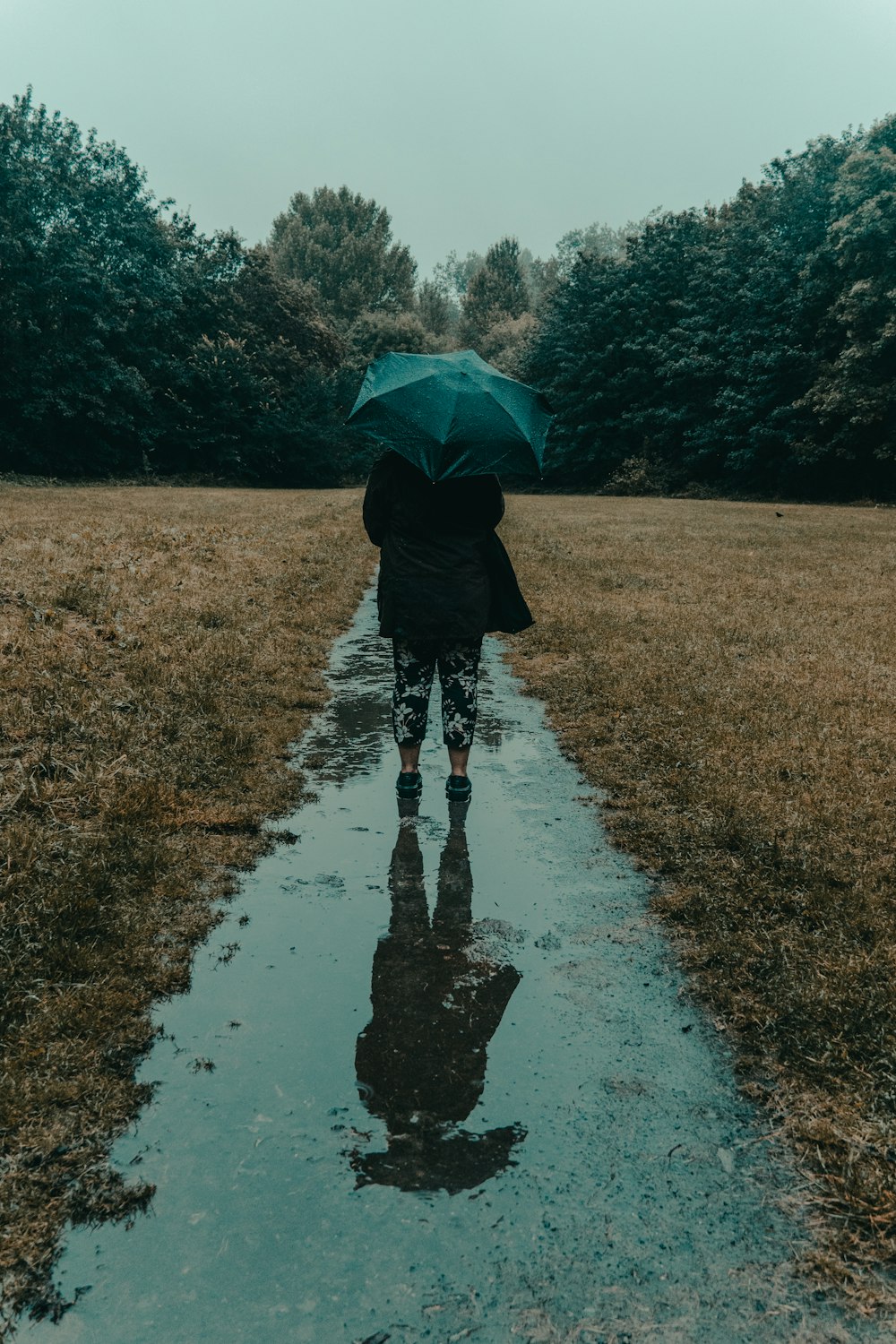 woman holding umbrella