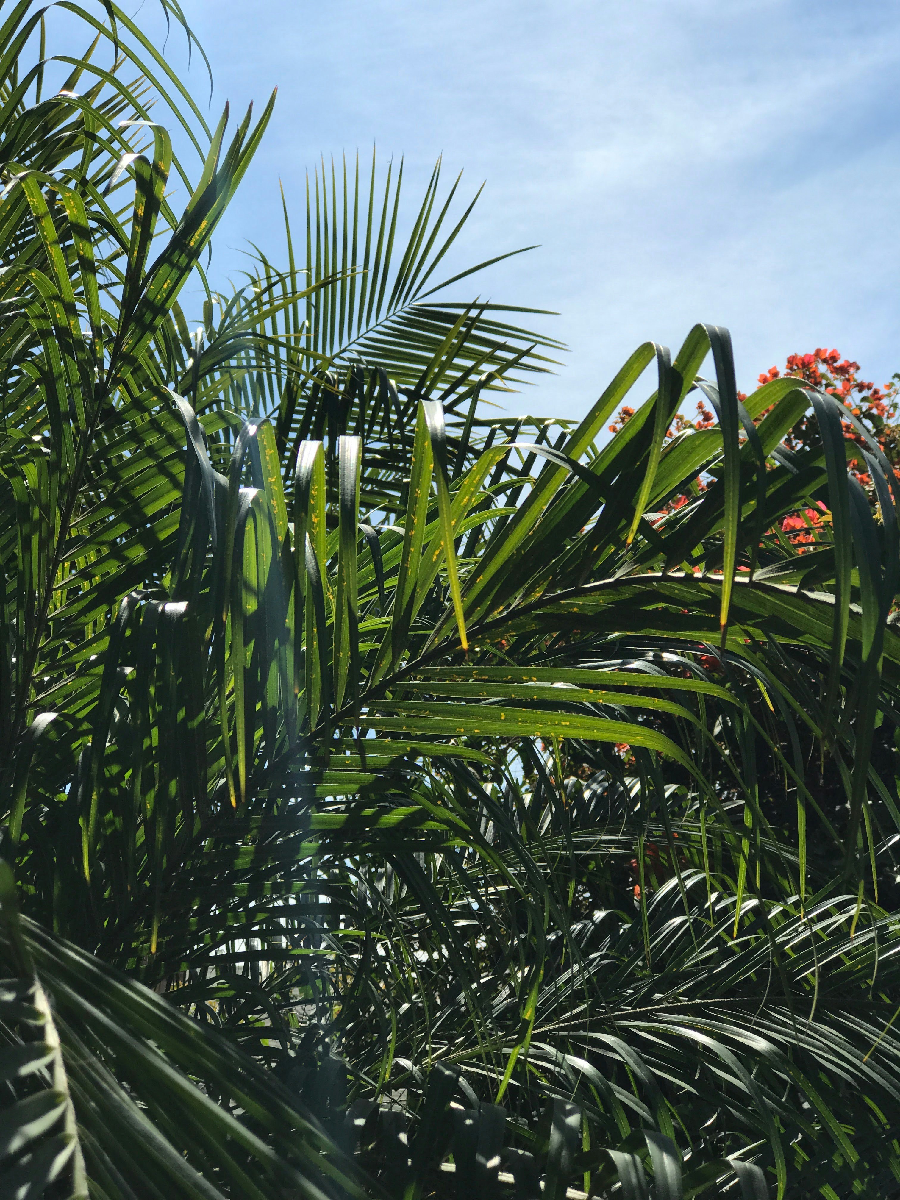 Photo by taohnichols