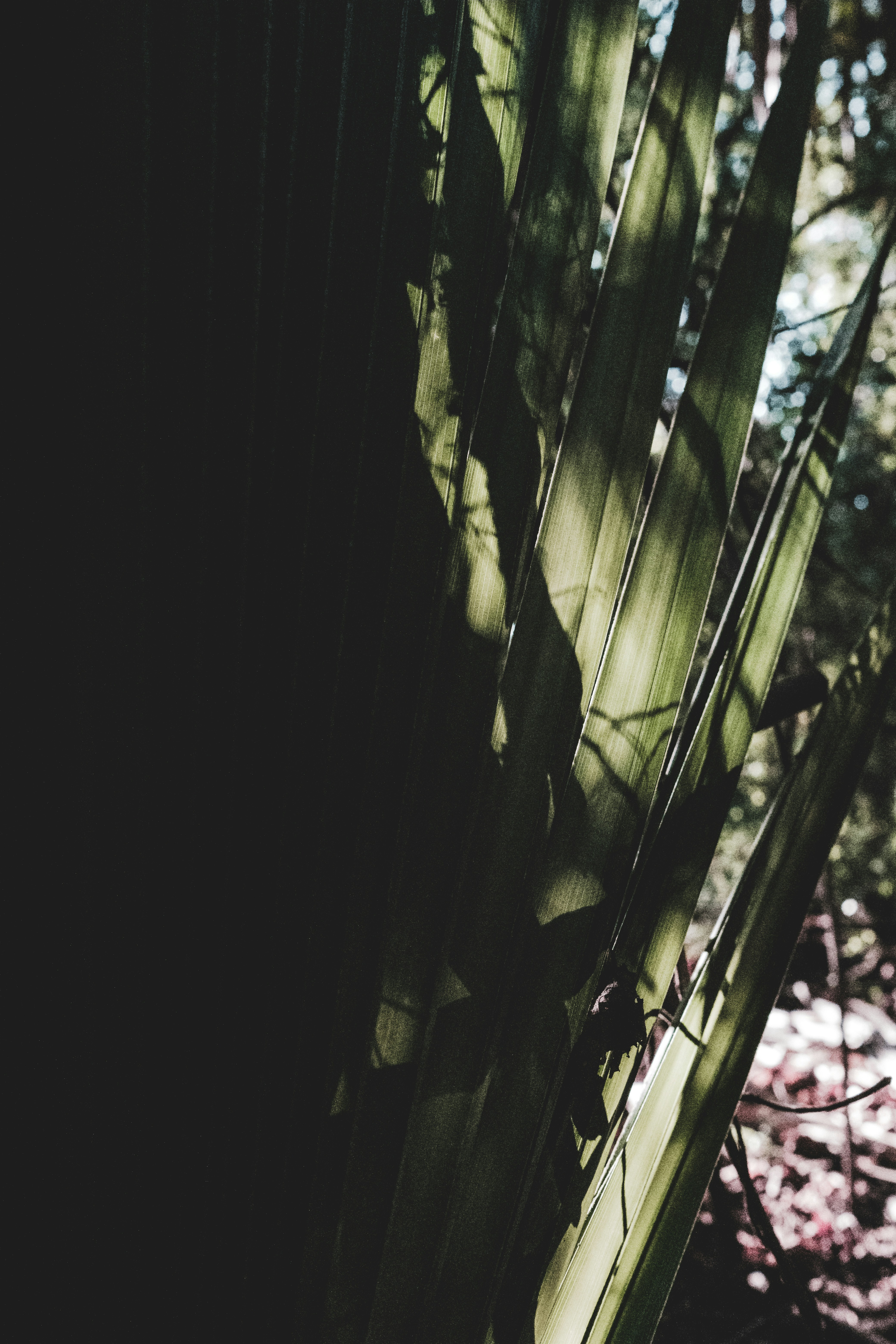 Photo by jacksharp_photography