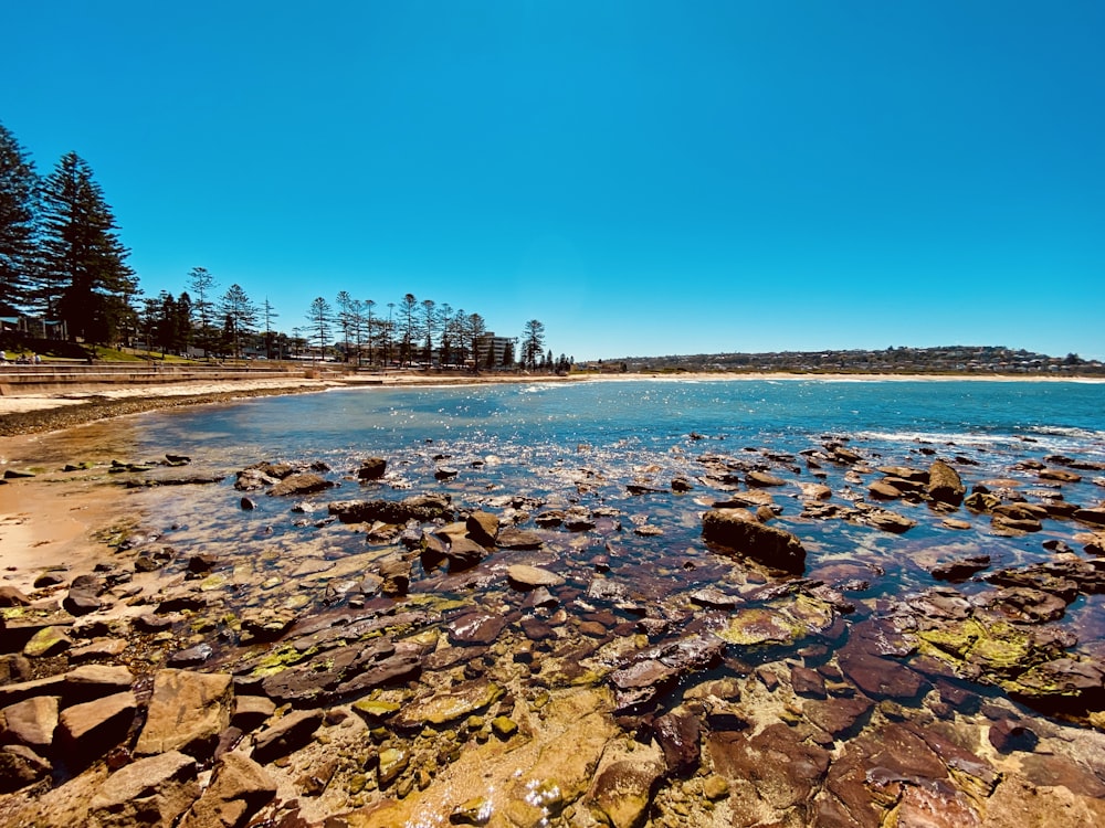 brown stones and body of waters