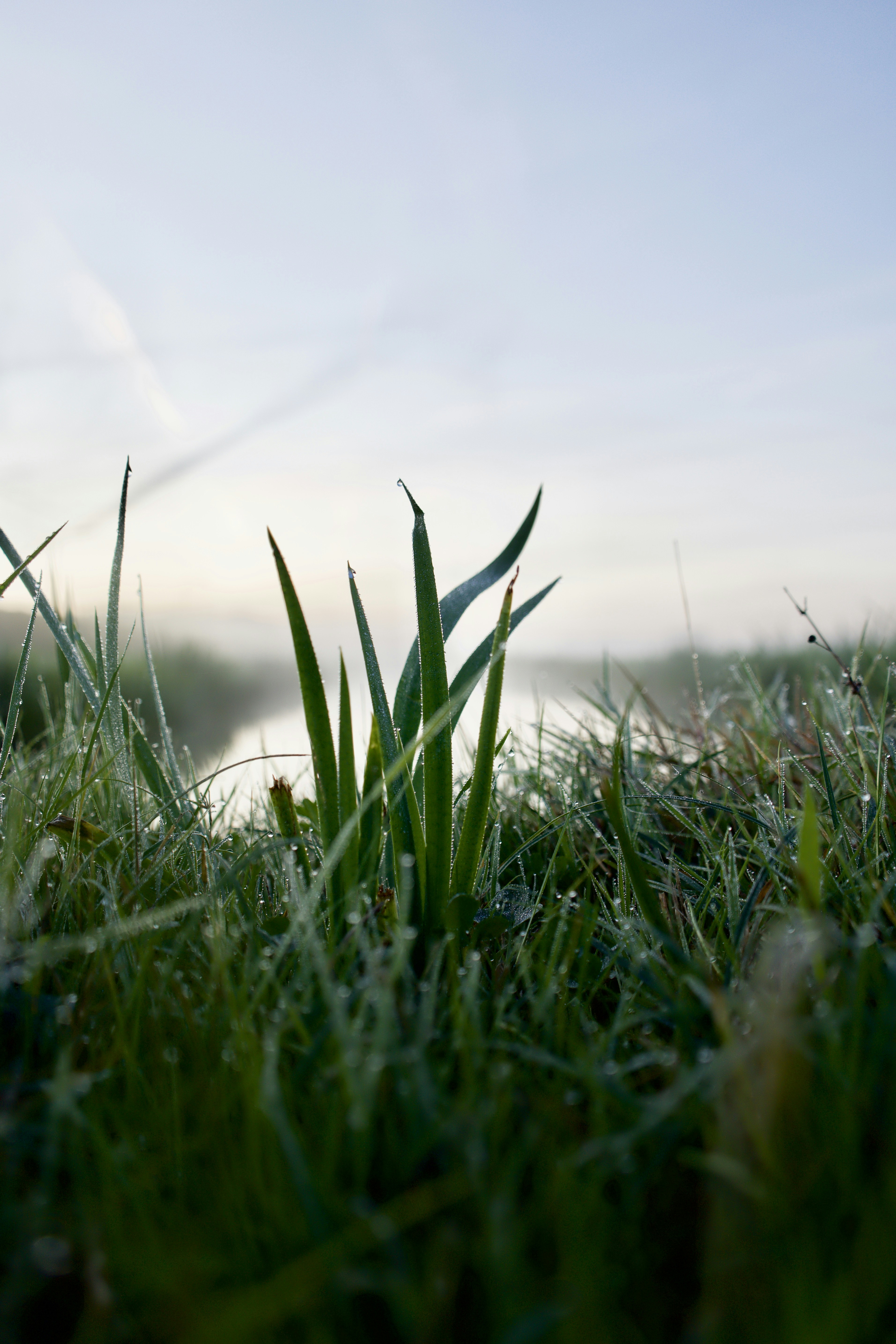 Photo by arjanschoorl