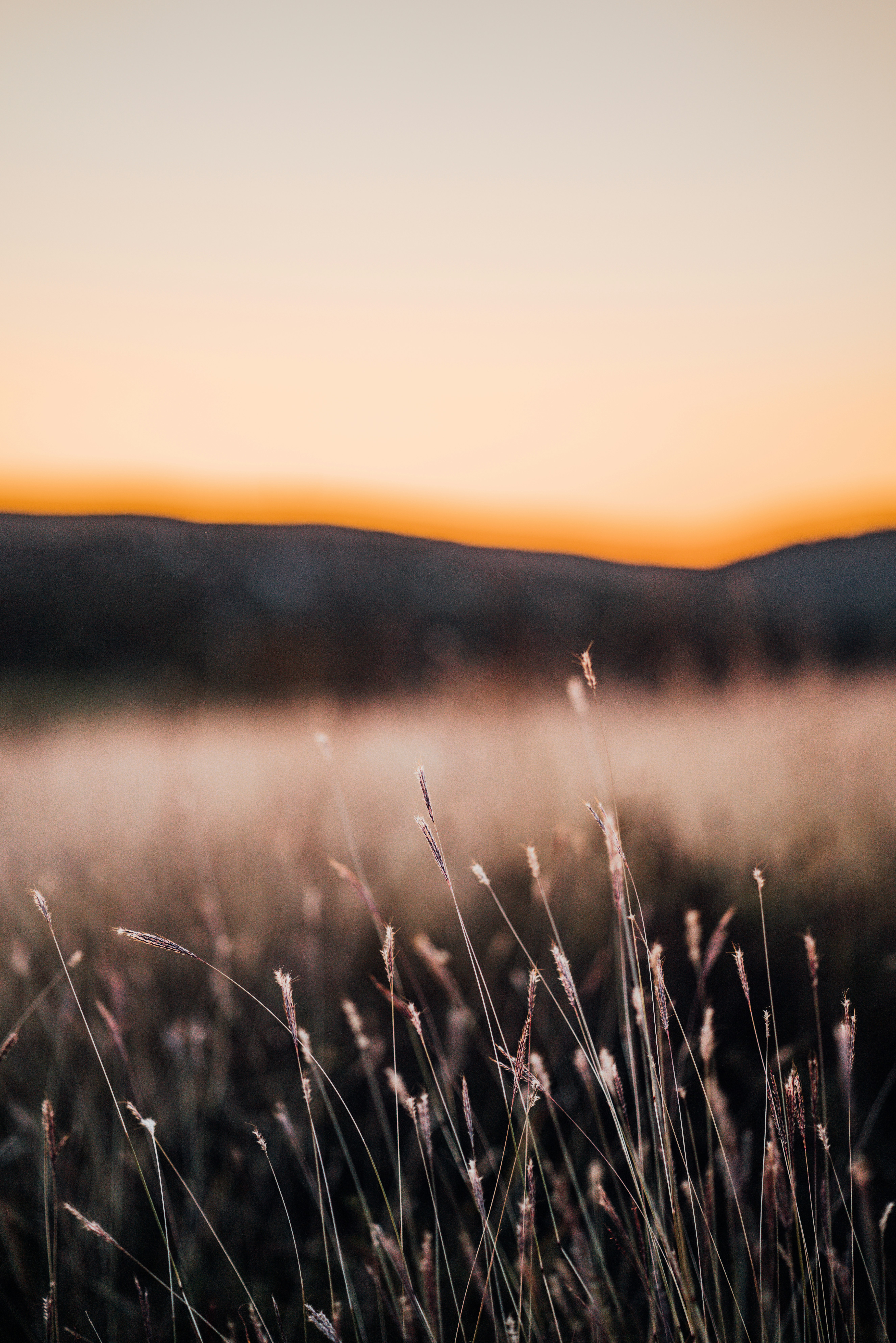 Photo by szabo_beni123