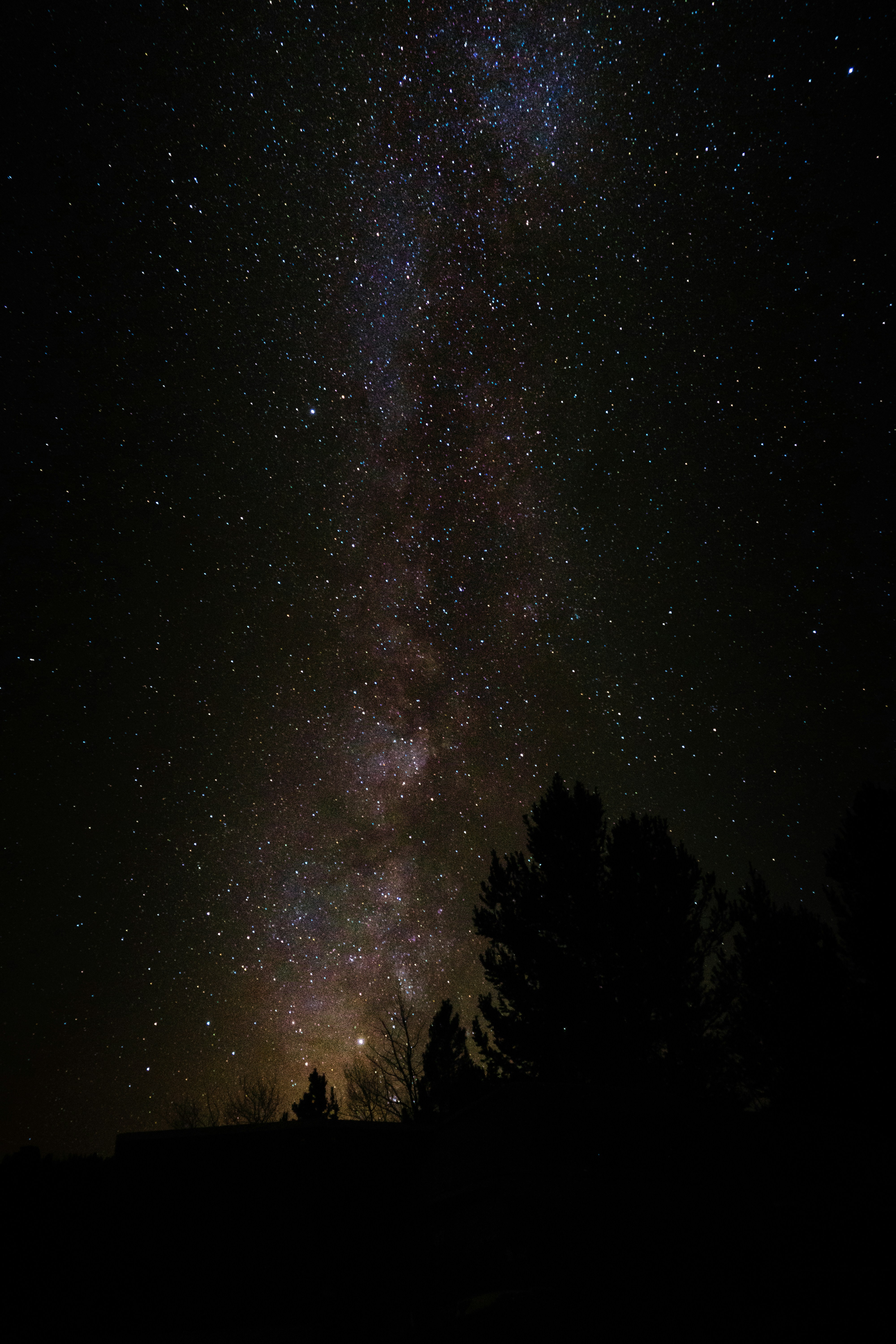 Photo by bunnyslayer