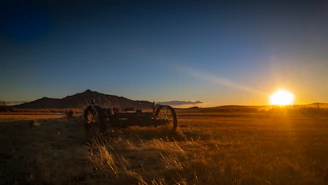 Rusty farm equipment sitting quietly in a grassy field at sunset.