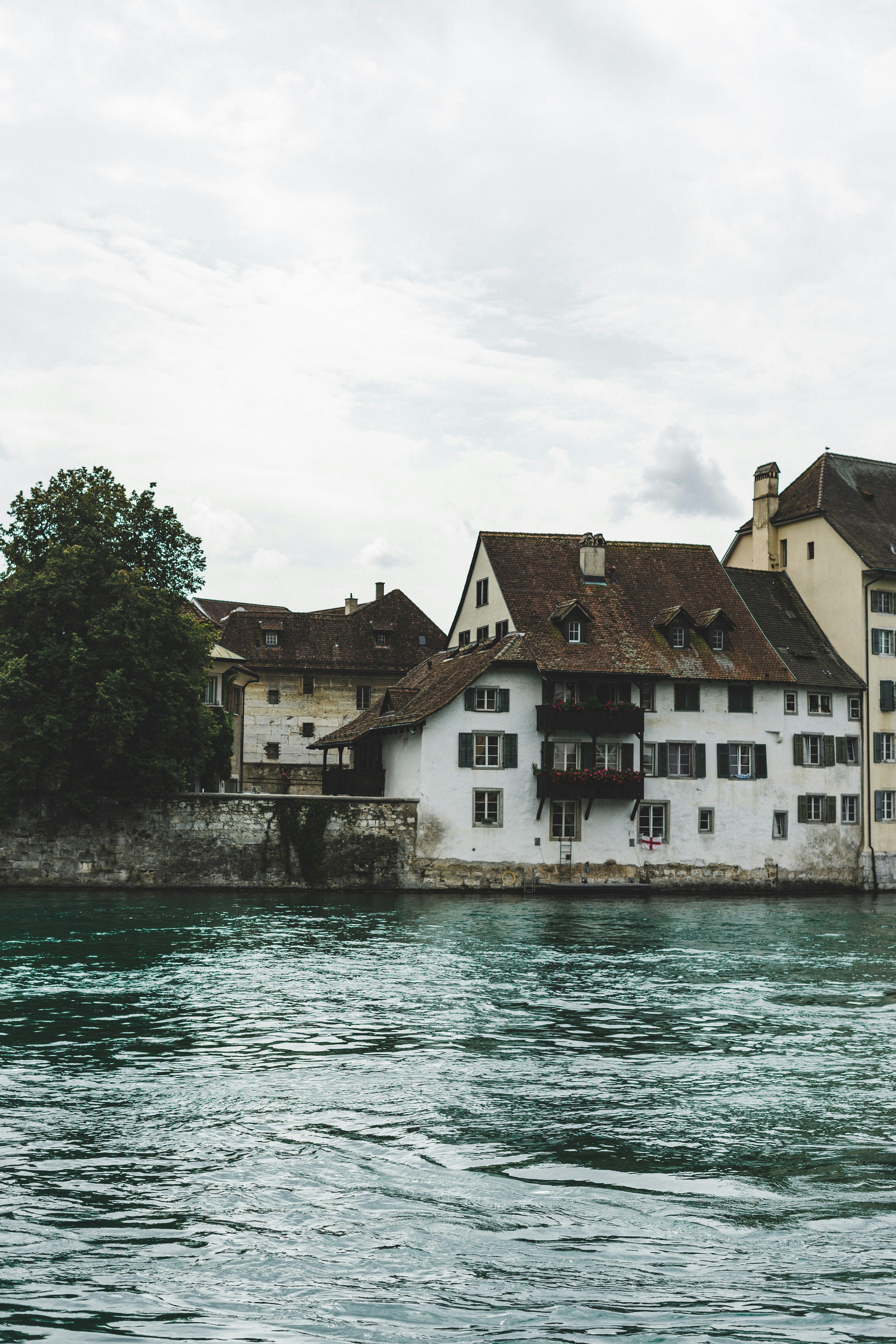 Photo by virussinside