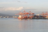 A port area with large red cranes positioned along the shoreline, used for loading and unloading containers from ships at a dock. Several stacked shipping containers are visible, and smaller boats are in the water nearby. The landscape in the background includes distant city buildings and hills under a partly cloudy sky.