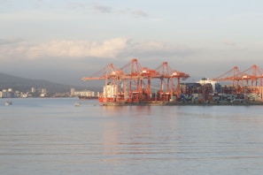 A port area with large red cranes positioned along the shoreline, used for loading and unloading containers from ships at a dock. Several stacked shipping containers are visible, and smaller boats are in the water nearby. The landscape in the background includes distant city buildings and hills under a partly cloudy sky.