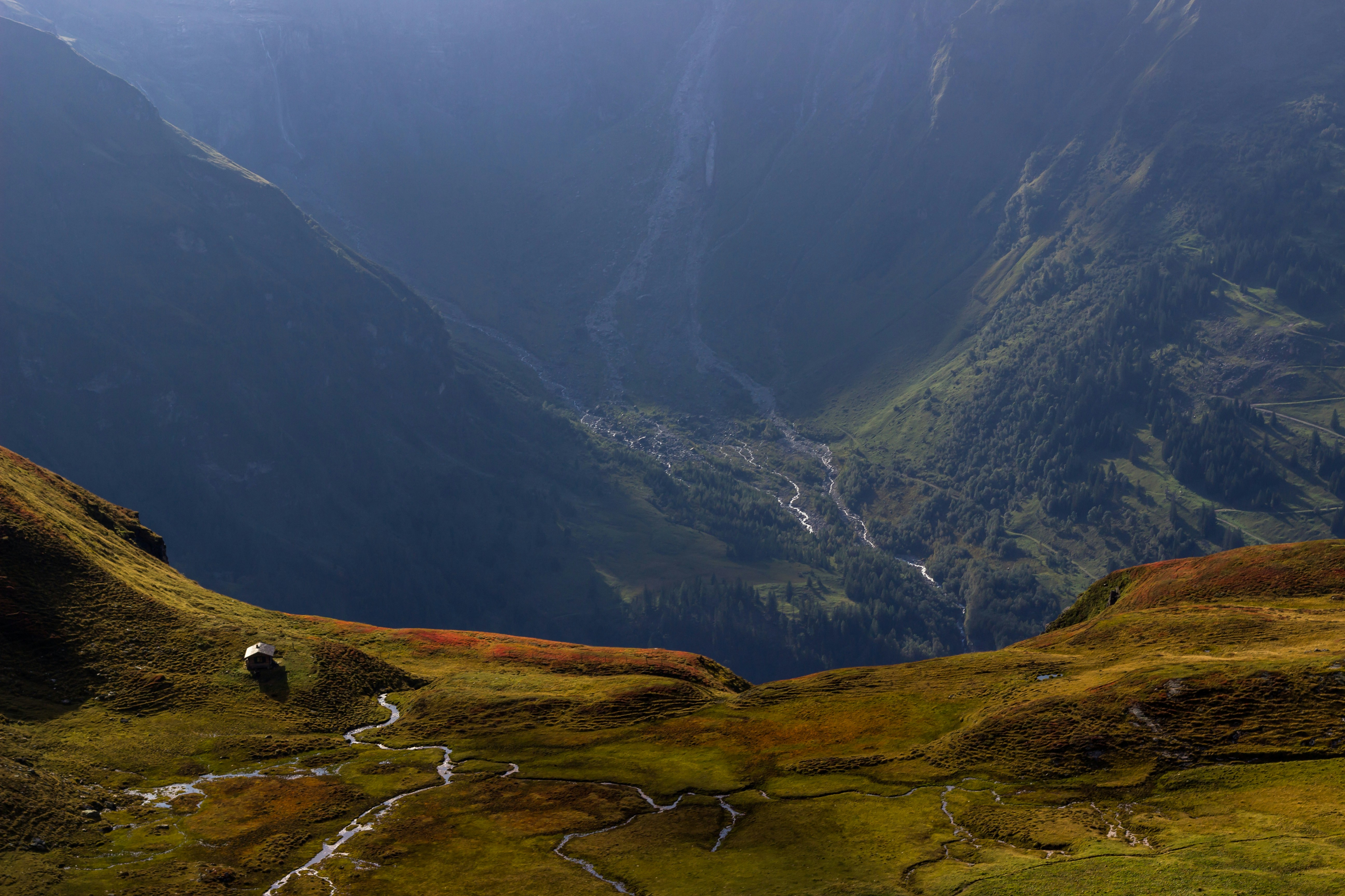 Photo by herrlechner