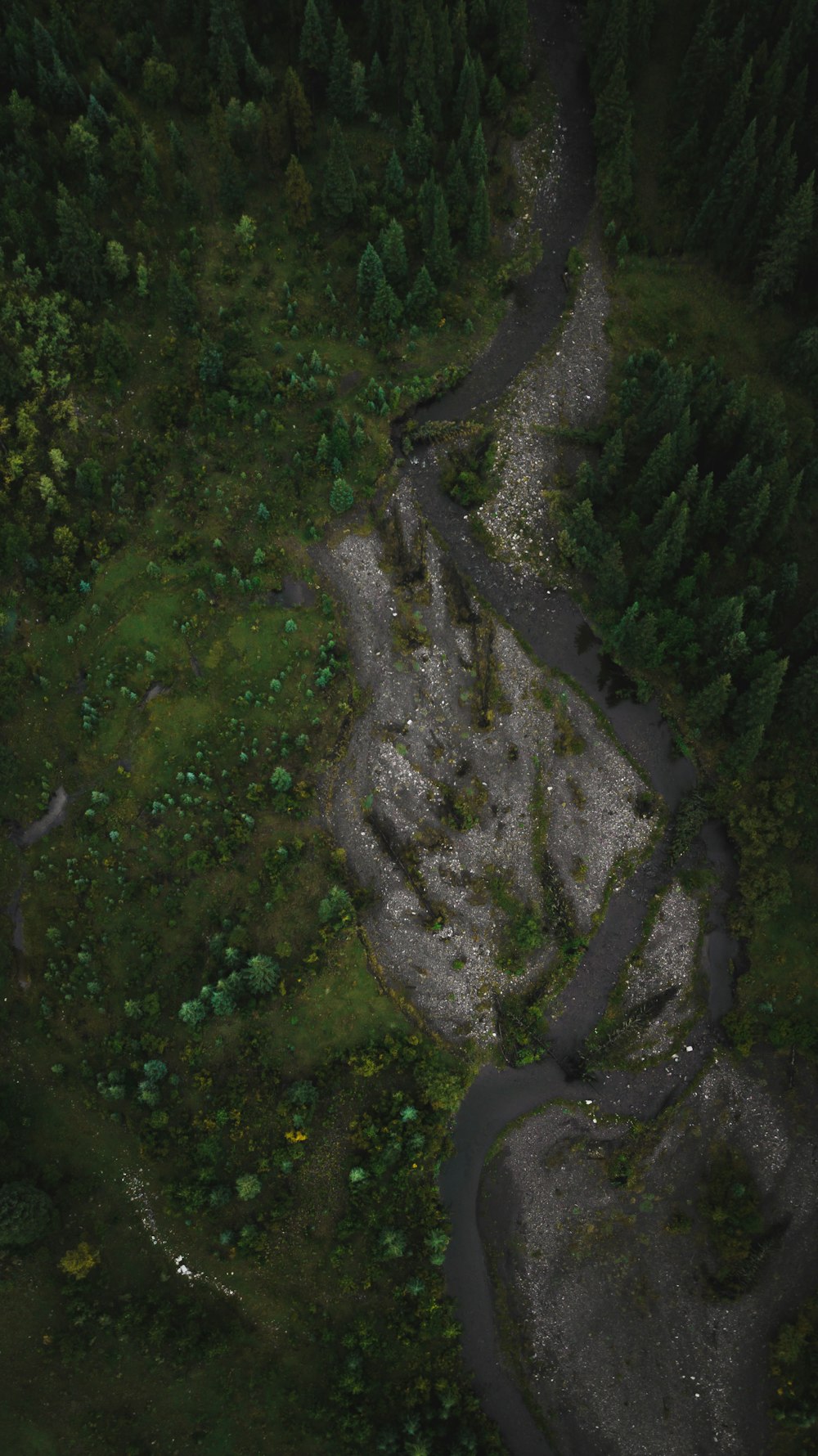 an aerial view of a river running through a forest