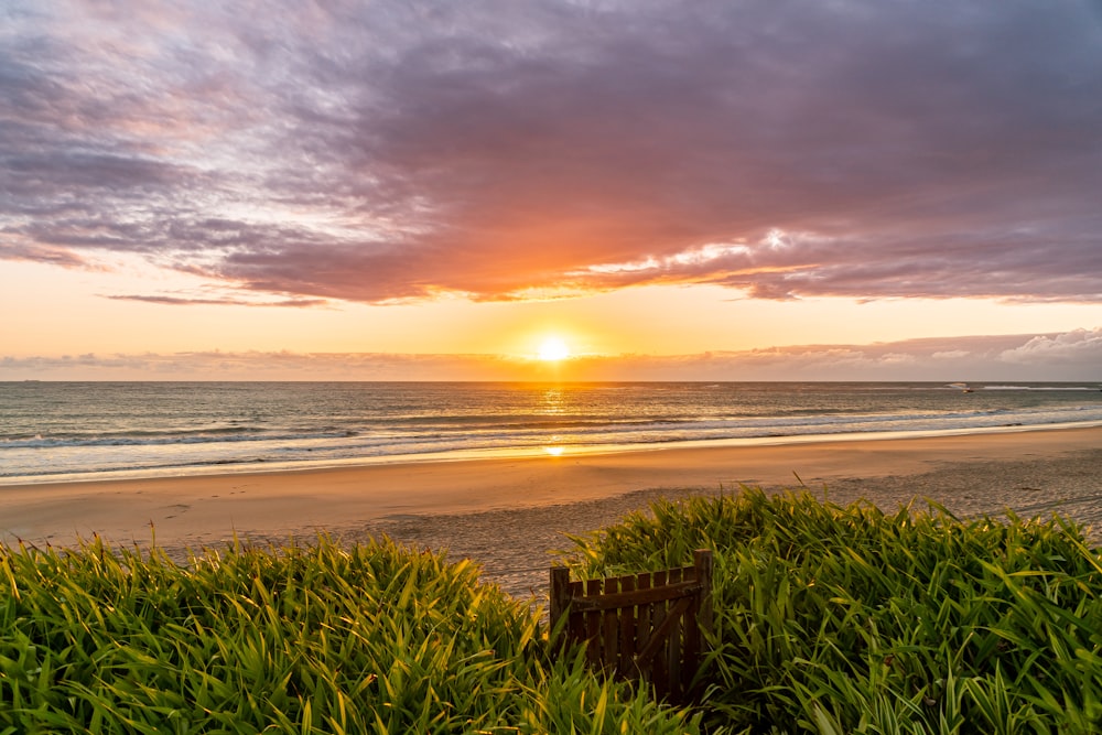 aerial photography of a white sand beach during golden hour