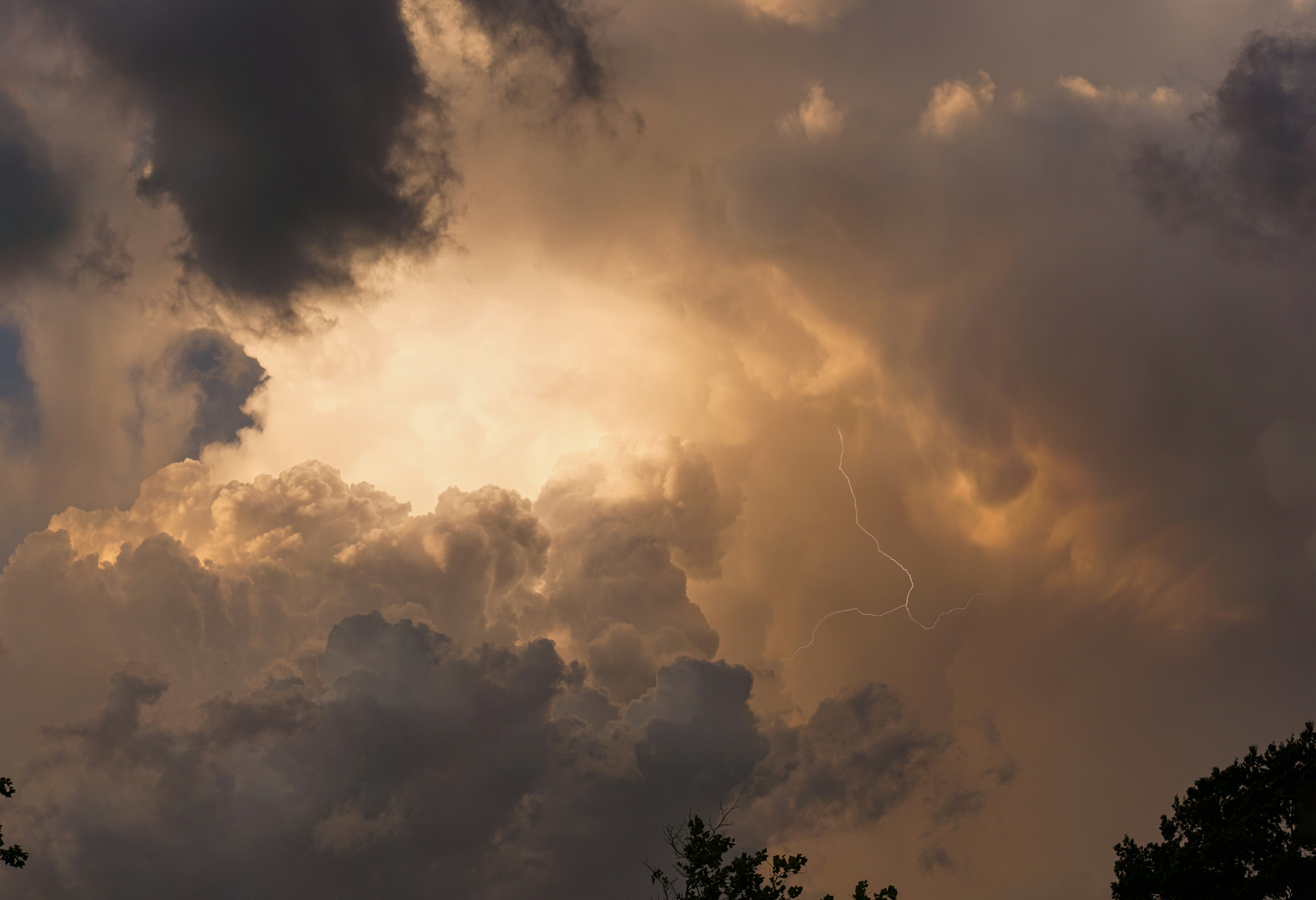 Photo by kent_pilcher