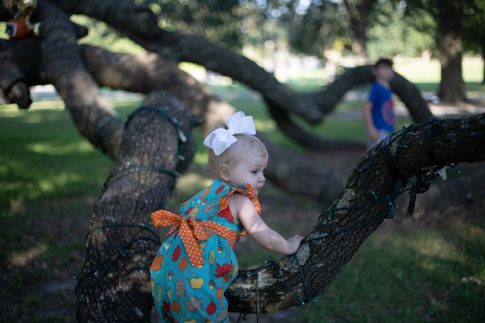 baby on tree