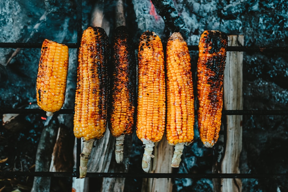 flat-lay photography of grilled corns