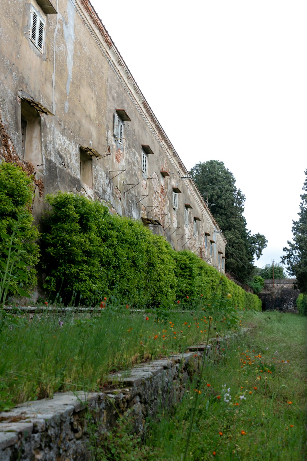 Grüne Büsche neben dem Gebäude