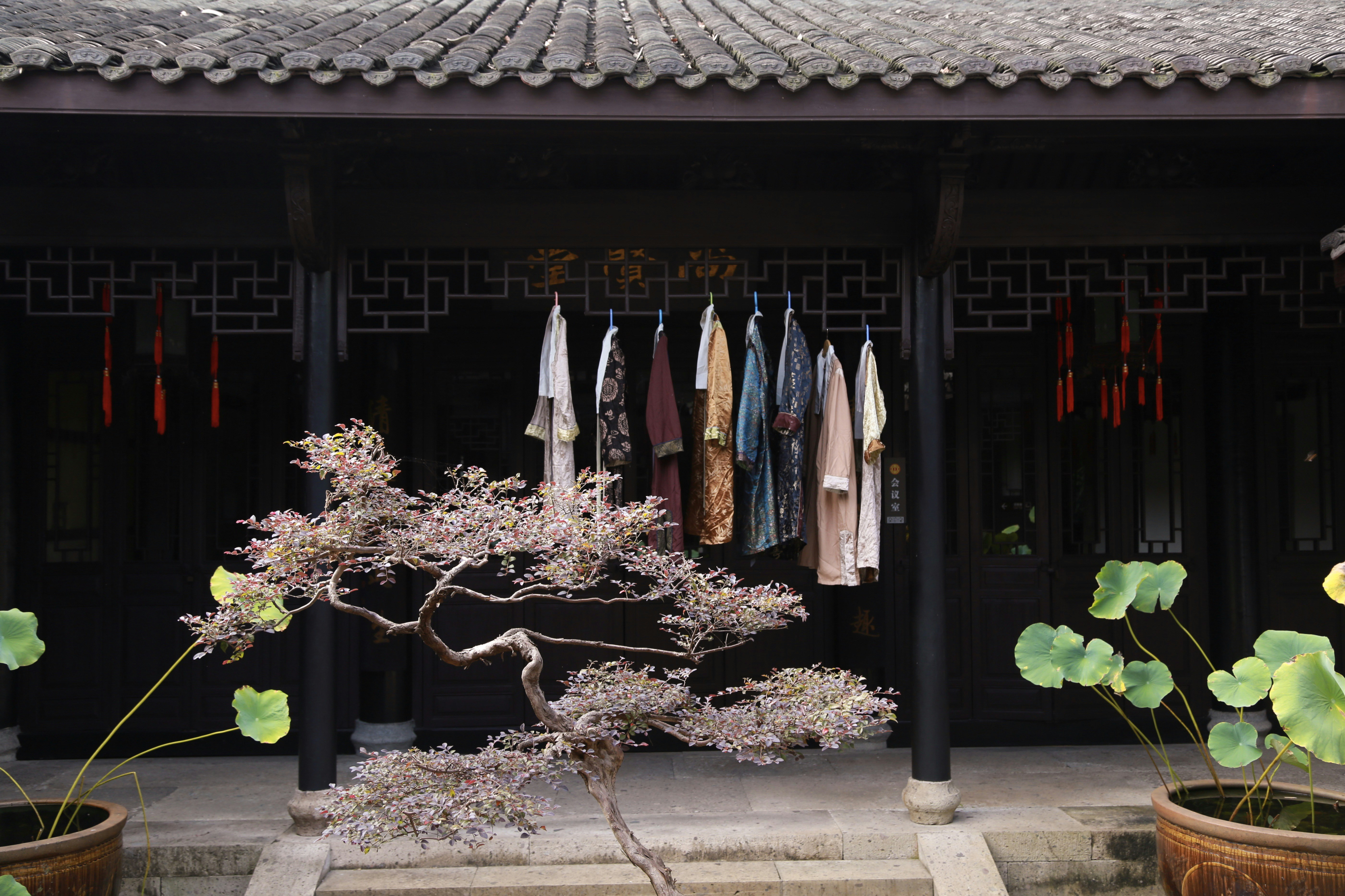 assorted-colored clothes on drying rack