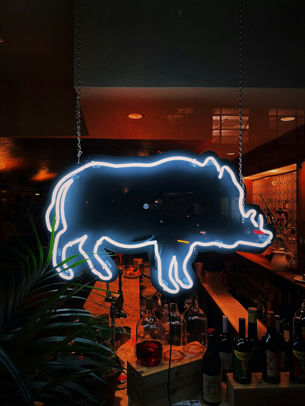 white wild boar neon light signage