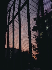 A mesh screen covers a window, silhouetted against a colorful evening sky. The grid pattern of the screen contrasts with the vibrant hues of the sunset, creating an abstract composition. In the background, building structures and tree outlines are faintly visible, suggesting an urban setting.