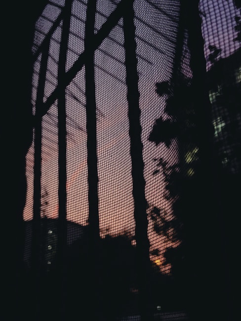 Photo 1569380445144 34c8e9acc3cf?q=85&w=584&h=650&fit=crop