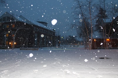 snow on camera maine google meet background