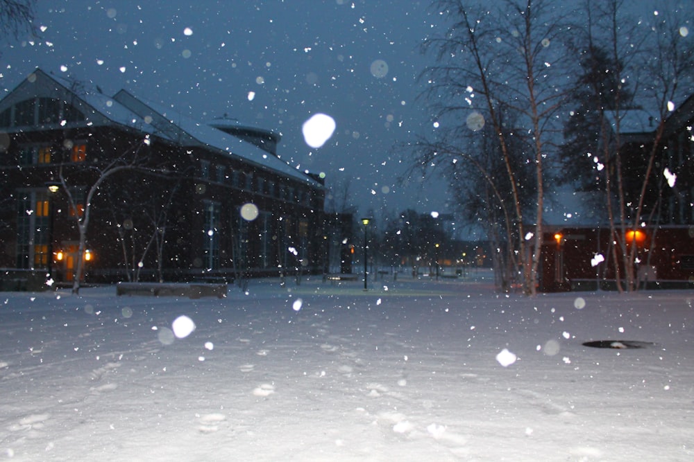 snow on camera