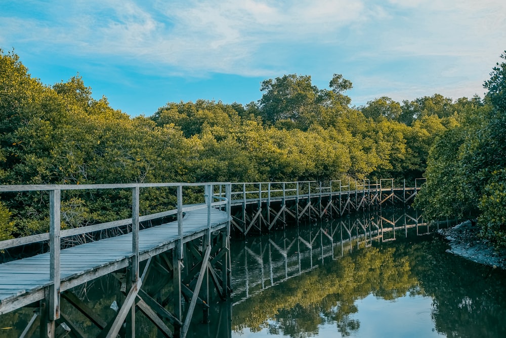 bridge over river