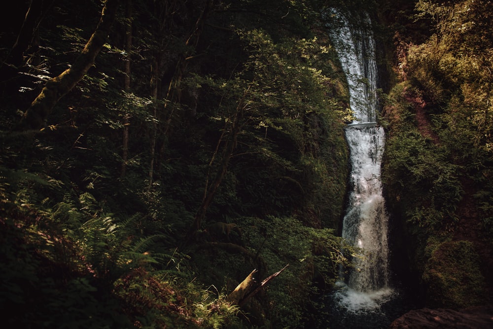 waterfalls during daytime