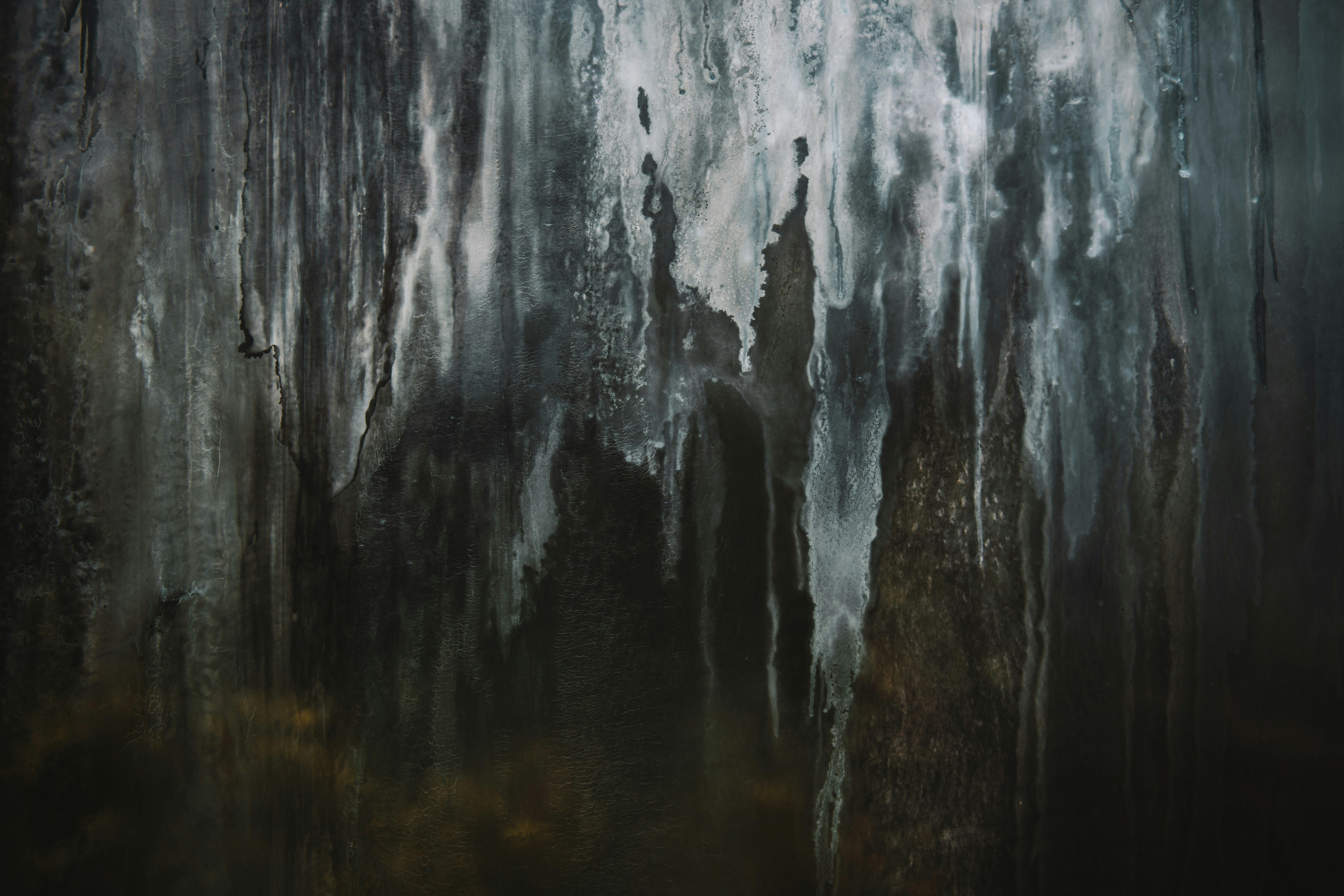 Google My Business Listing