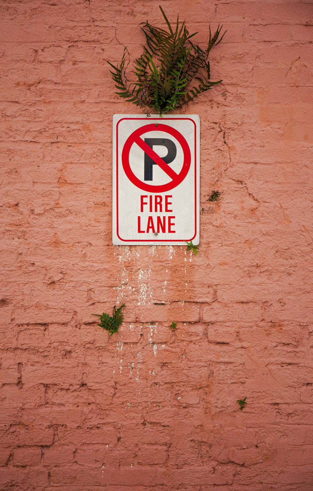 white and red Fire Lane signage