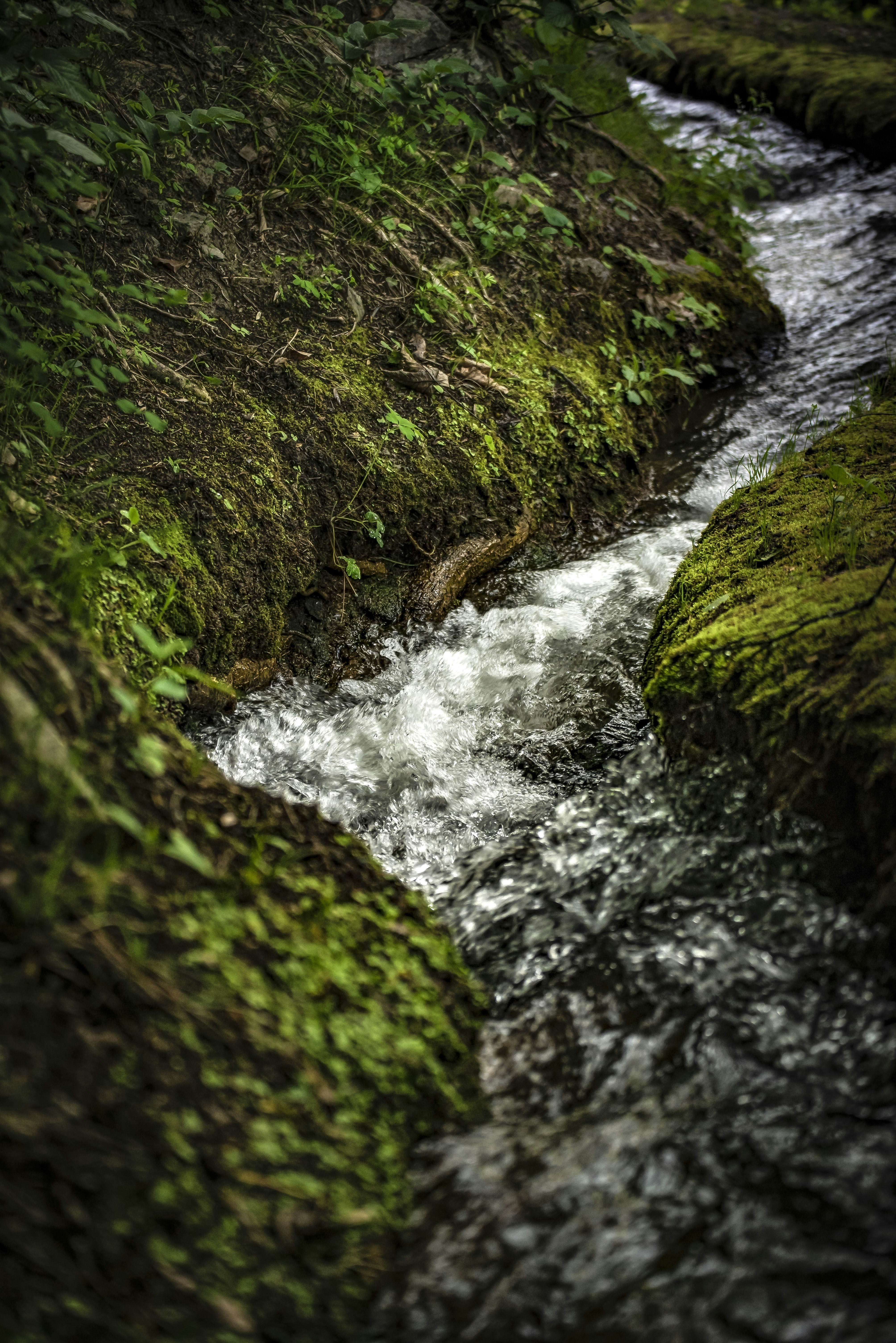 Photo by jan_brantschen