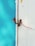 A white wooden door is secured with a rusty latch and a red plastic security seal. The door is adjacent to a bright turquoise wall, with some visible weathering and chipped paint.