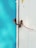 A white wooden door is secured with a rusty latch and a red plastic security seal. The door is adjacent to a bright turquoise wall, with some visible weathering and chipped paint.