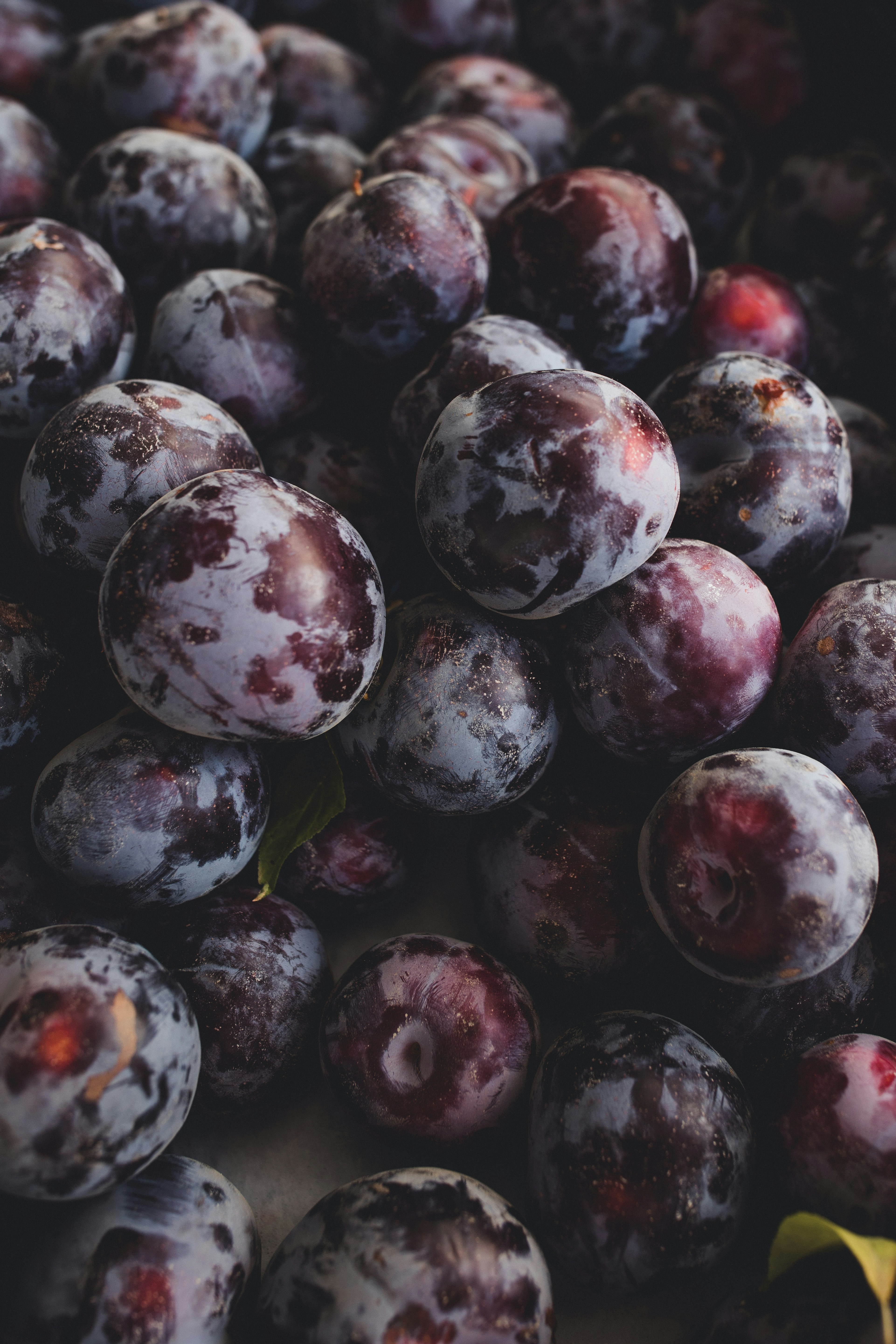 Définition de prune Dictionnaire français