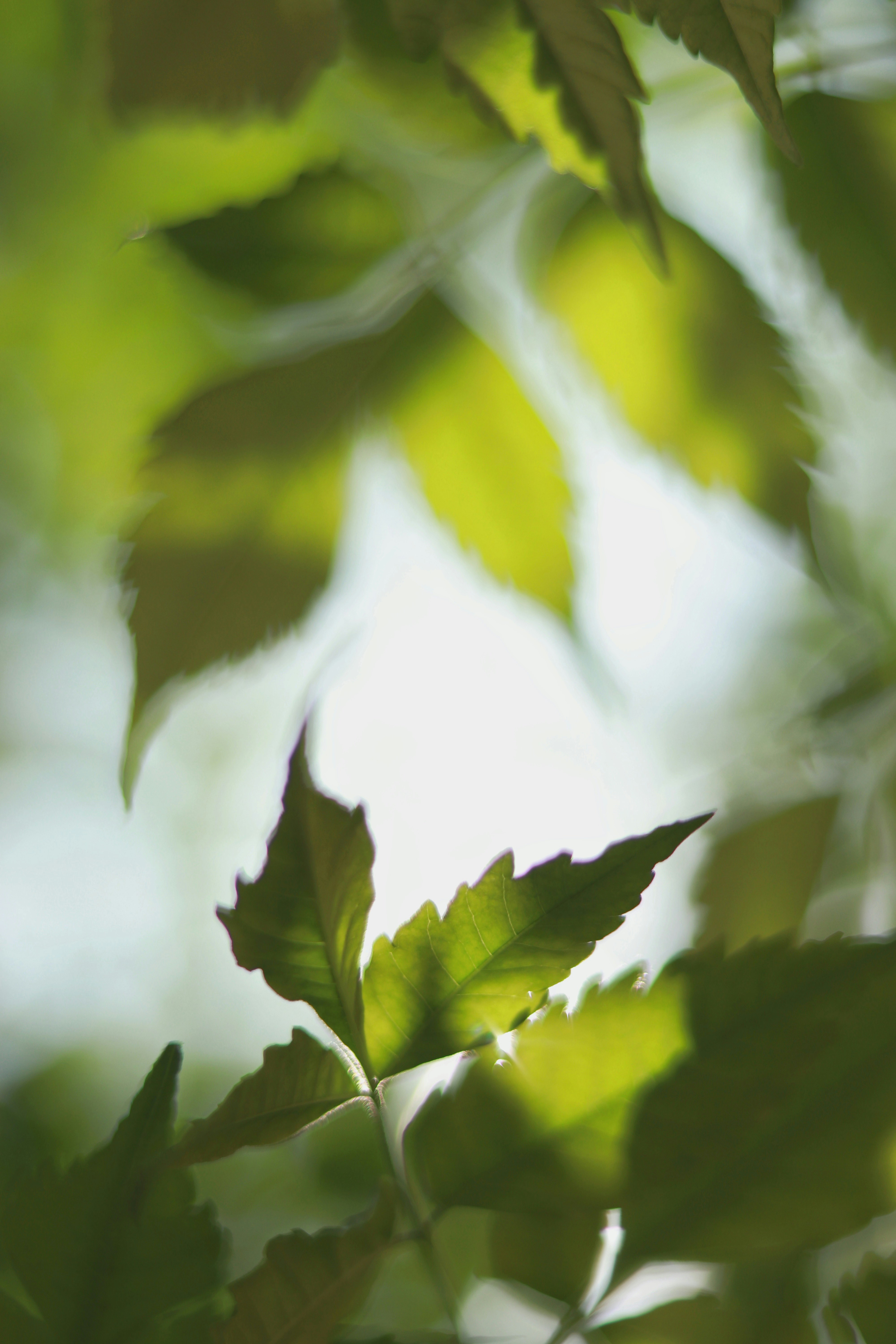 The Hidden Water System Running Through Your Home