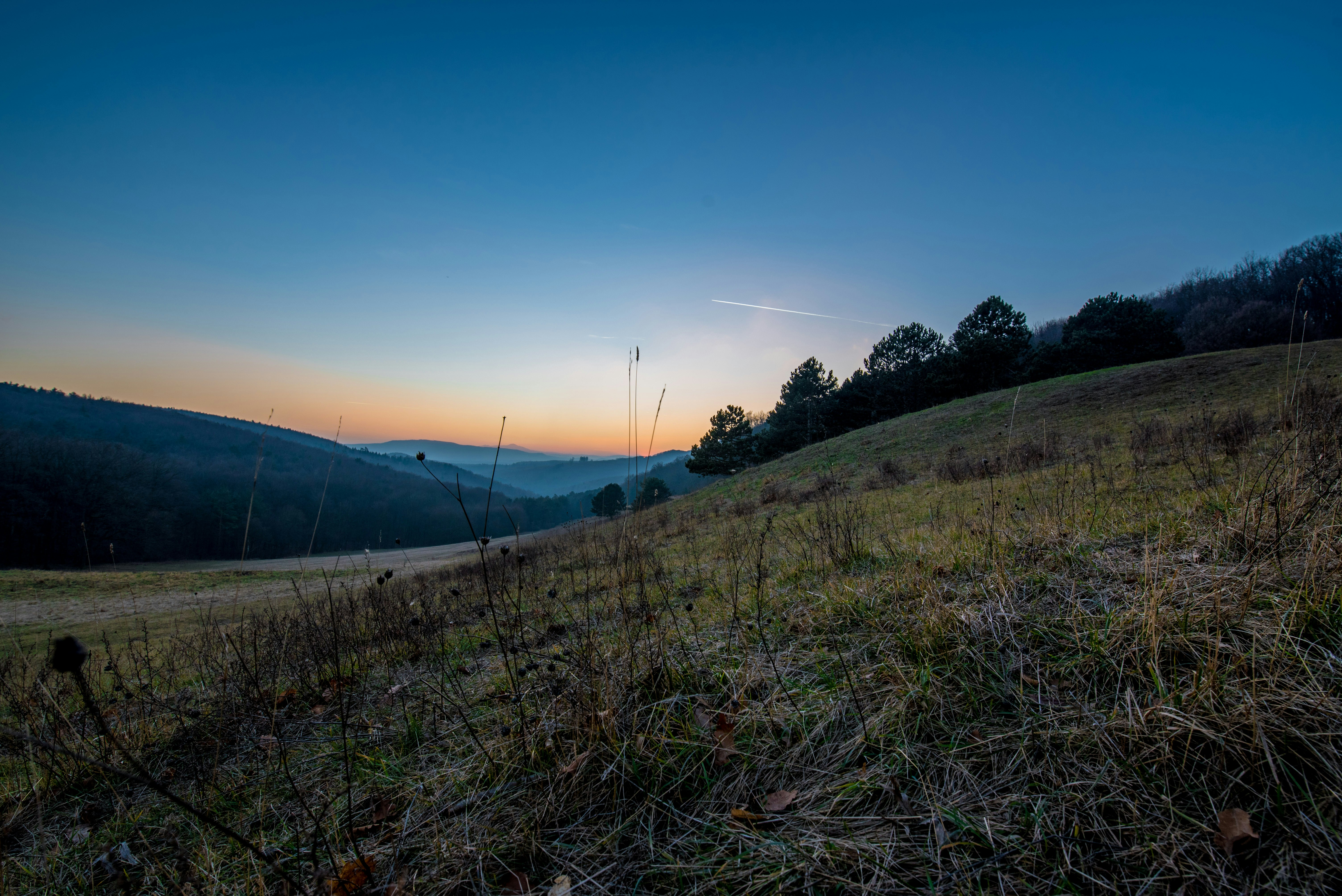 Photo by manucruceru