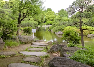 A peaceful Japanese garden with stone pathway and lush greenery.