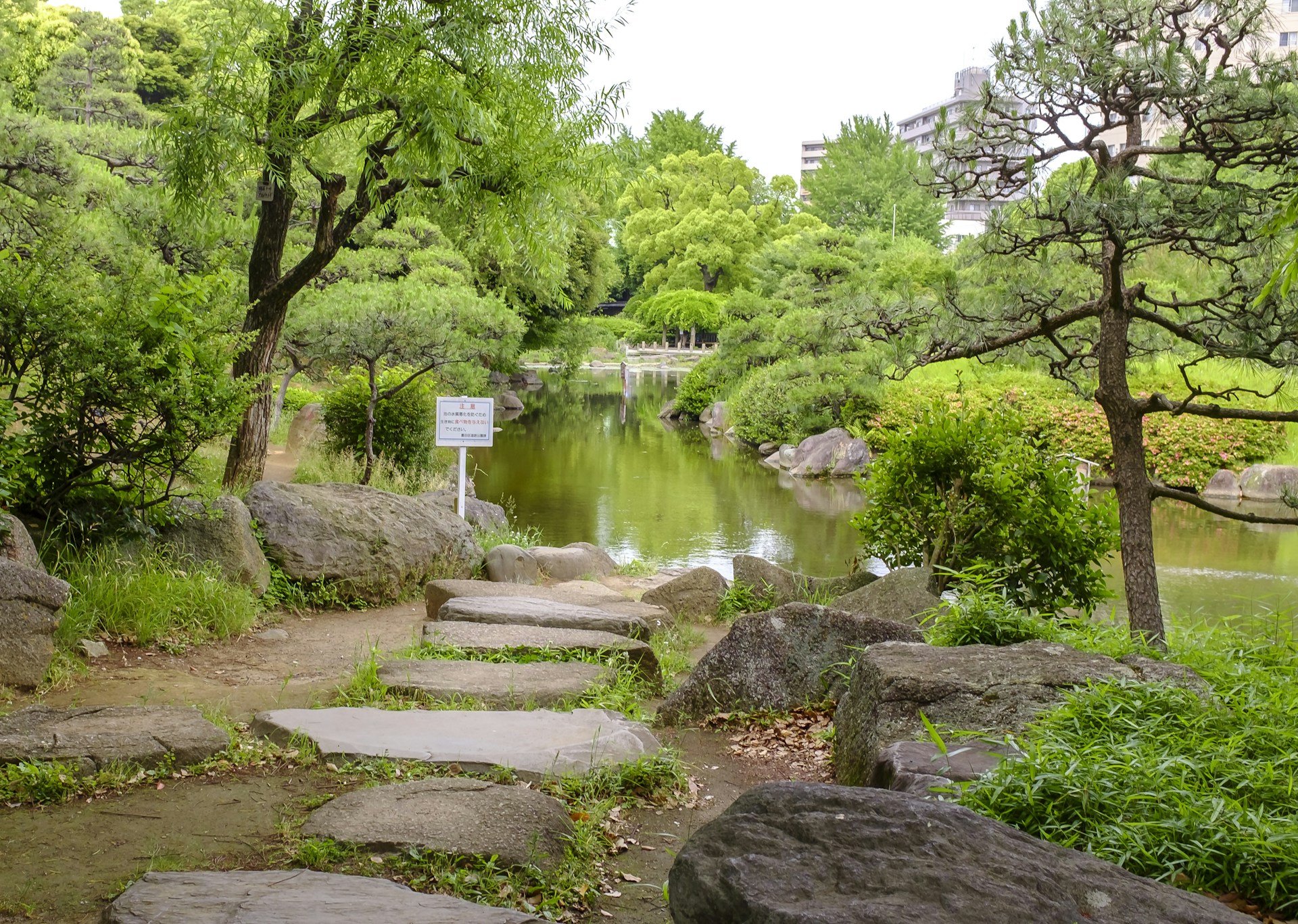 gray computer monitor