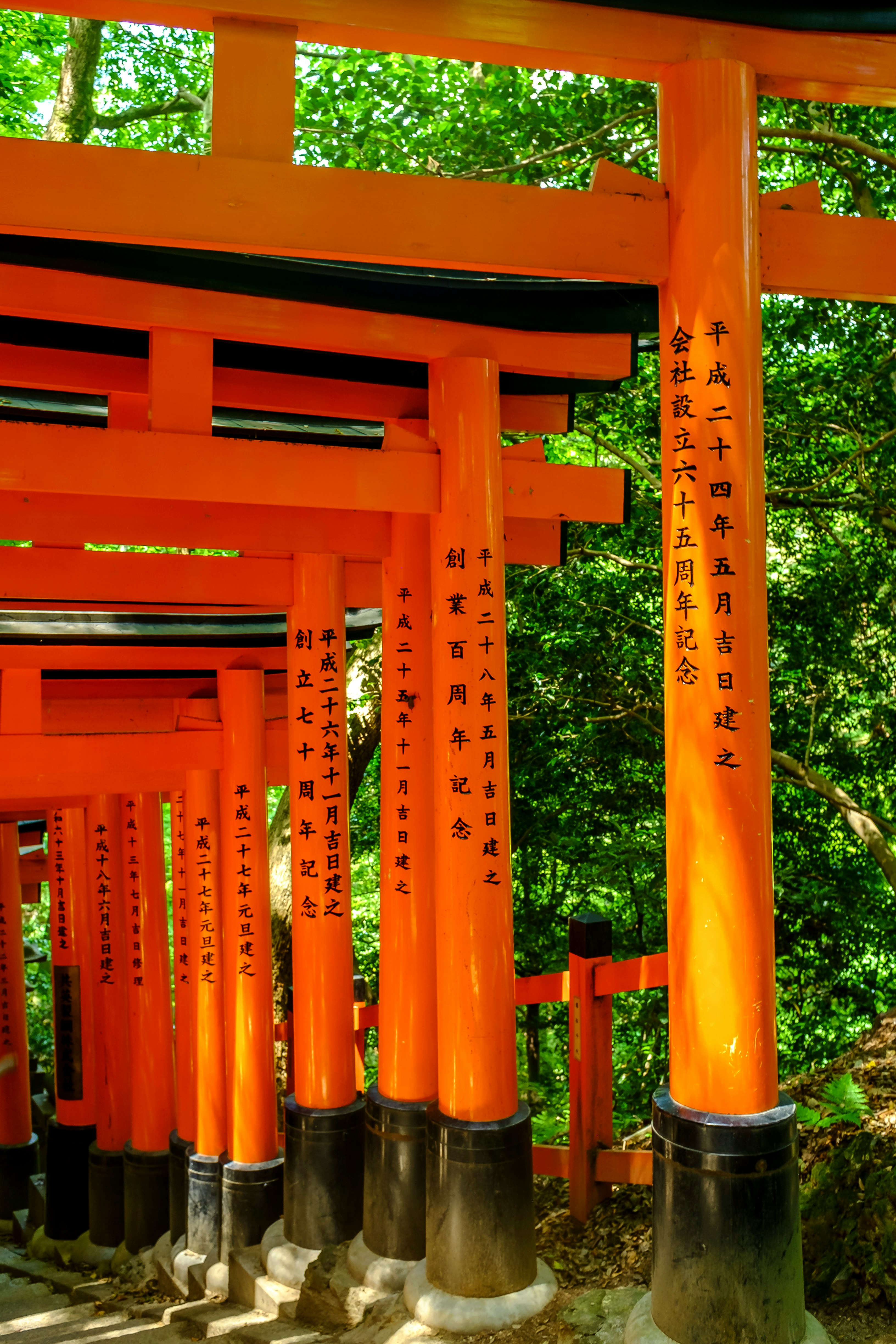 orange Tori gates