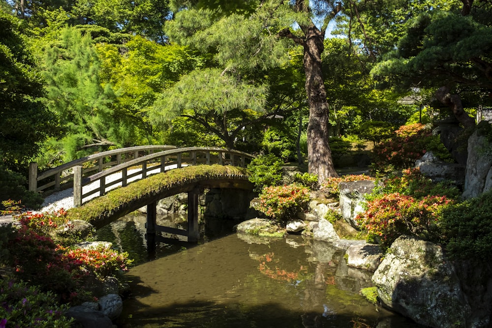 bridge over river