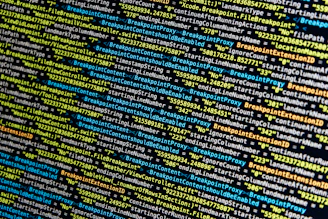 turned-on monitor displays source codes