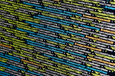 turned-on monitor displays source codes